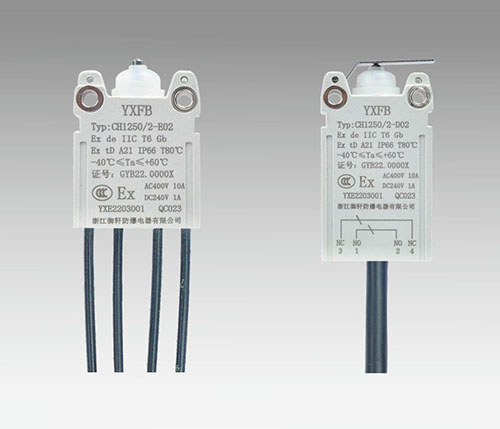 CH1250-8 防爆行程開關(guān)